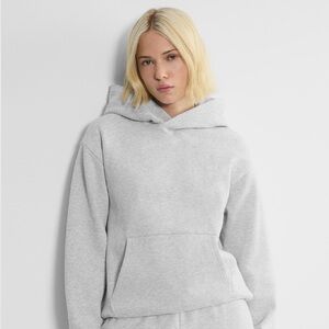 Aritzia TNA Gray Hoodie